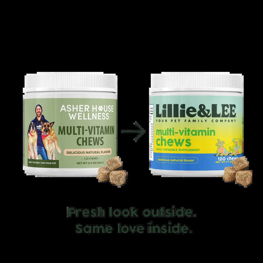 Multi-Vitamin Chews | Energy + Defense