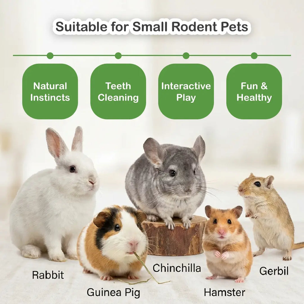 Rabbit Chew Toys Set, Natural Apple Sticks & Timothy Hay Treats, Molar Toys for Bunny, Guinea Pig, Small Pets, Cage Accessories for Teeth Grinding #Summervibes