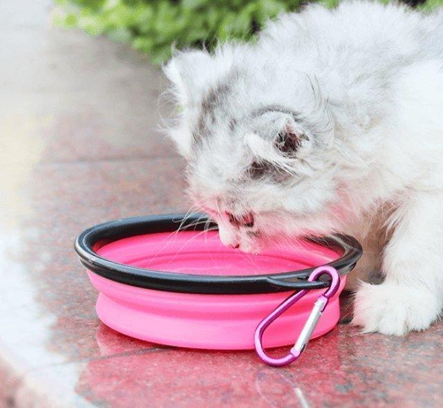 2 in 1 Pet Water Bottle Dispenser Portable Dog Cat Travel Bowl