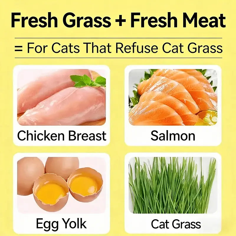 70G Cat Grass Treats with Natural Salmon, Hairball & Dental Care, Healthy Catnip Biscuits for Training & Daily Snacks