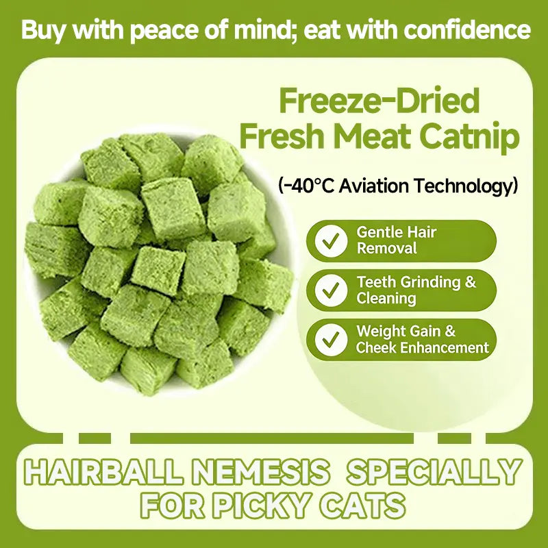 70G Cat Grass Treats with Natural Salmon, Hairball & Dental Care, Healthy Catnip Biscuits for Training & Daily Snacks