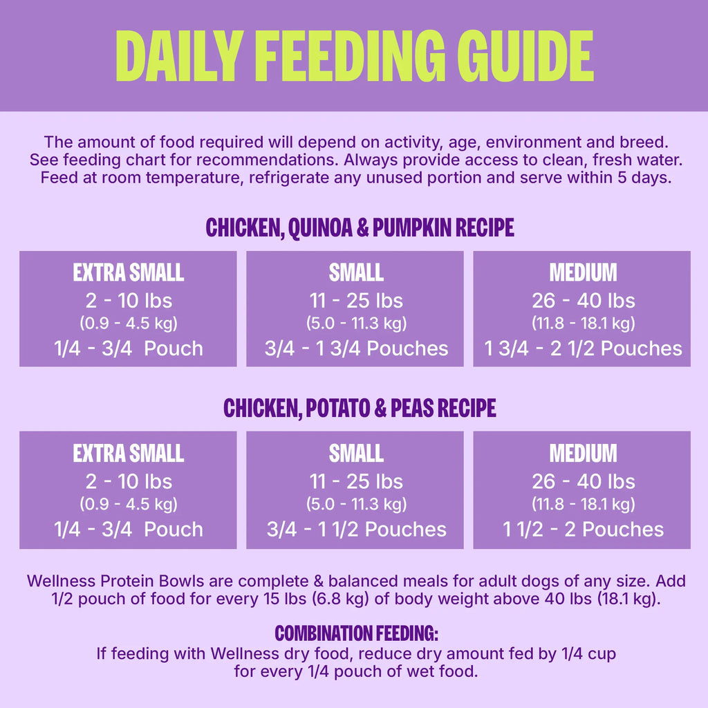 Wellness Protein Bowls, Adult Fresh Alternative Dog Food, Wholesome Grains, 6.2 Ounce Pouch, 6 Pack, (Chicken Value Pack)