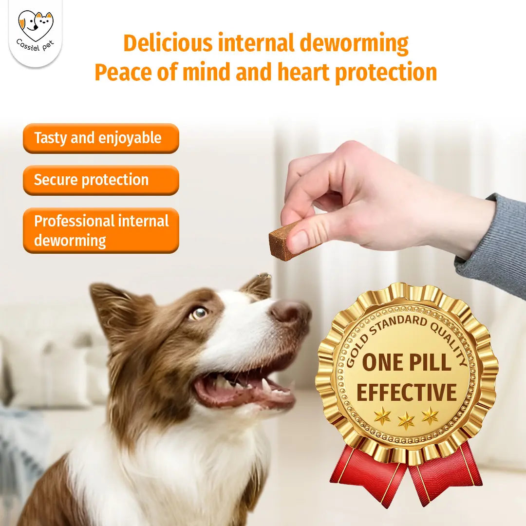 Cassiel Pet Natural Dog Chews - Herbal Formula, Chicken Flavor, Supports Digestive Comfort, Skin & Coat Care, Immune Support, Easy to Feed,