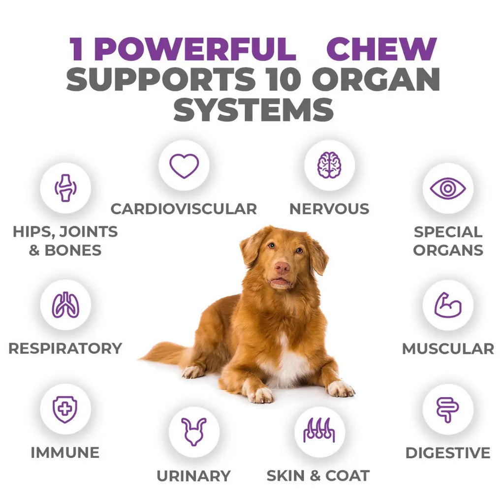 10-In-1 MAX Multivitamin for Dogs - Supports Overall Health