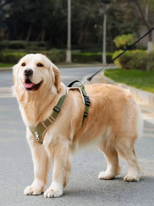 Adjustable Reflective Pet Harness – Safe & Comfortable Dog Harness