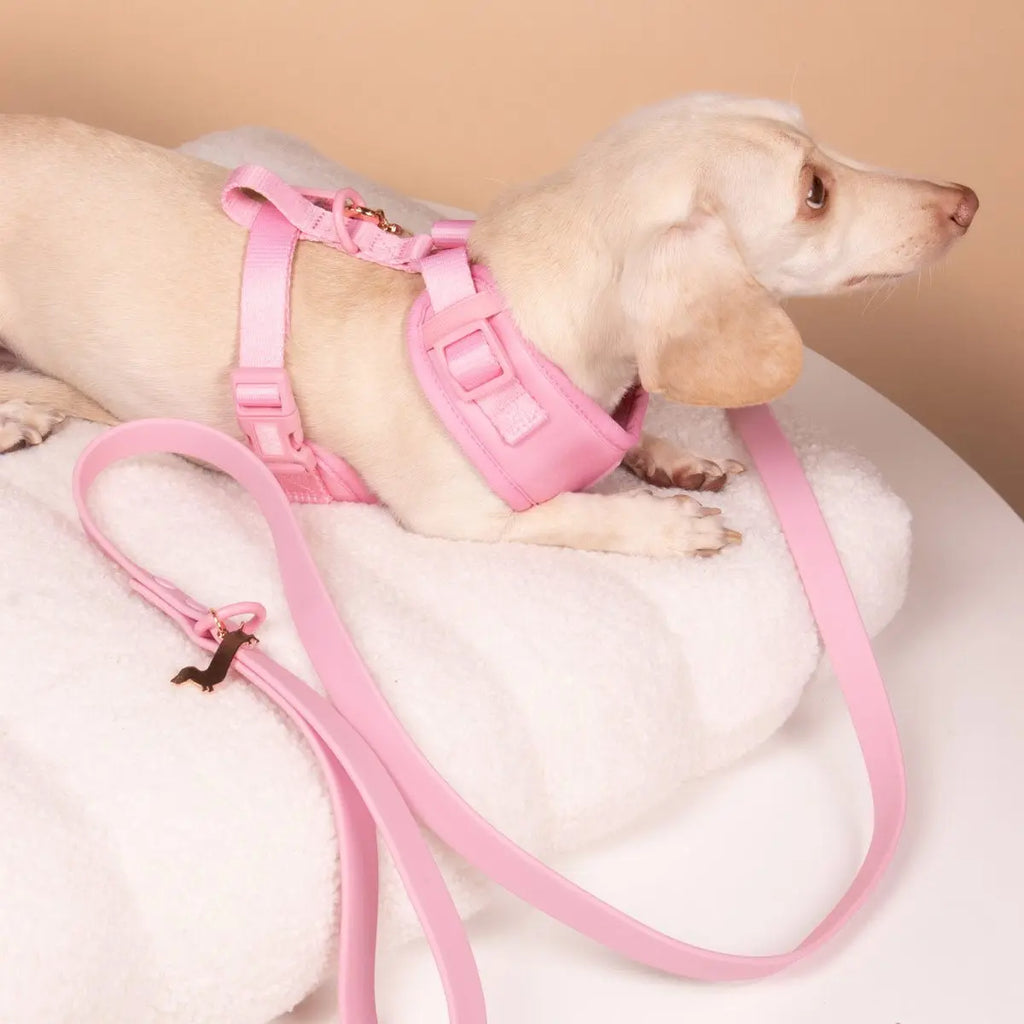 Ween Pink Waterproof Easy-Clean Leash with Rose Gold Keyring & Doxie Charm - Adjustable Length 60" X 1" PVC Material for Pet Walks