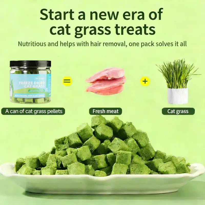70G Cat Grass Treats with Natural Salmon, Hairball & Dental Care, Healthy Catnip Biscuits for Training & Daily Snacks