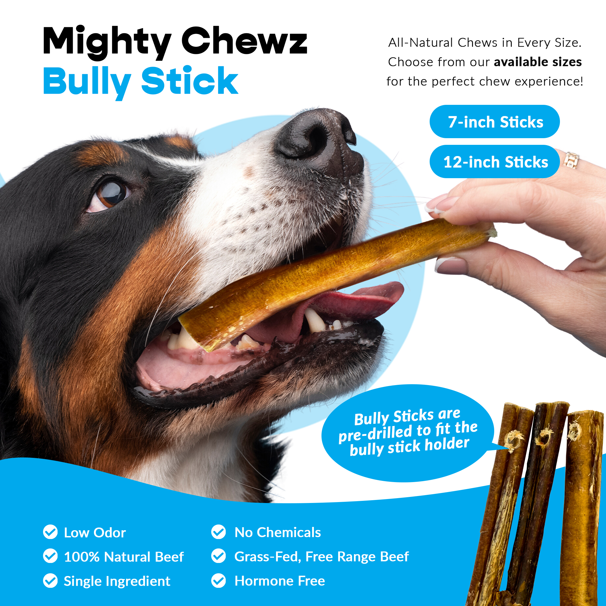 7" Thick Bully Sticks Refill Pack Pre-Drilled All-Natural Dog Chews