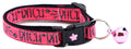 Bitch 2 Breakaway Cat Collar-5