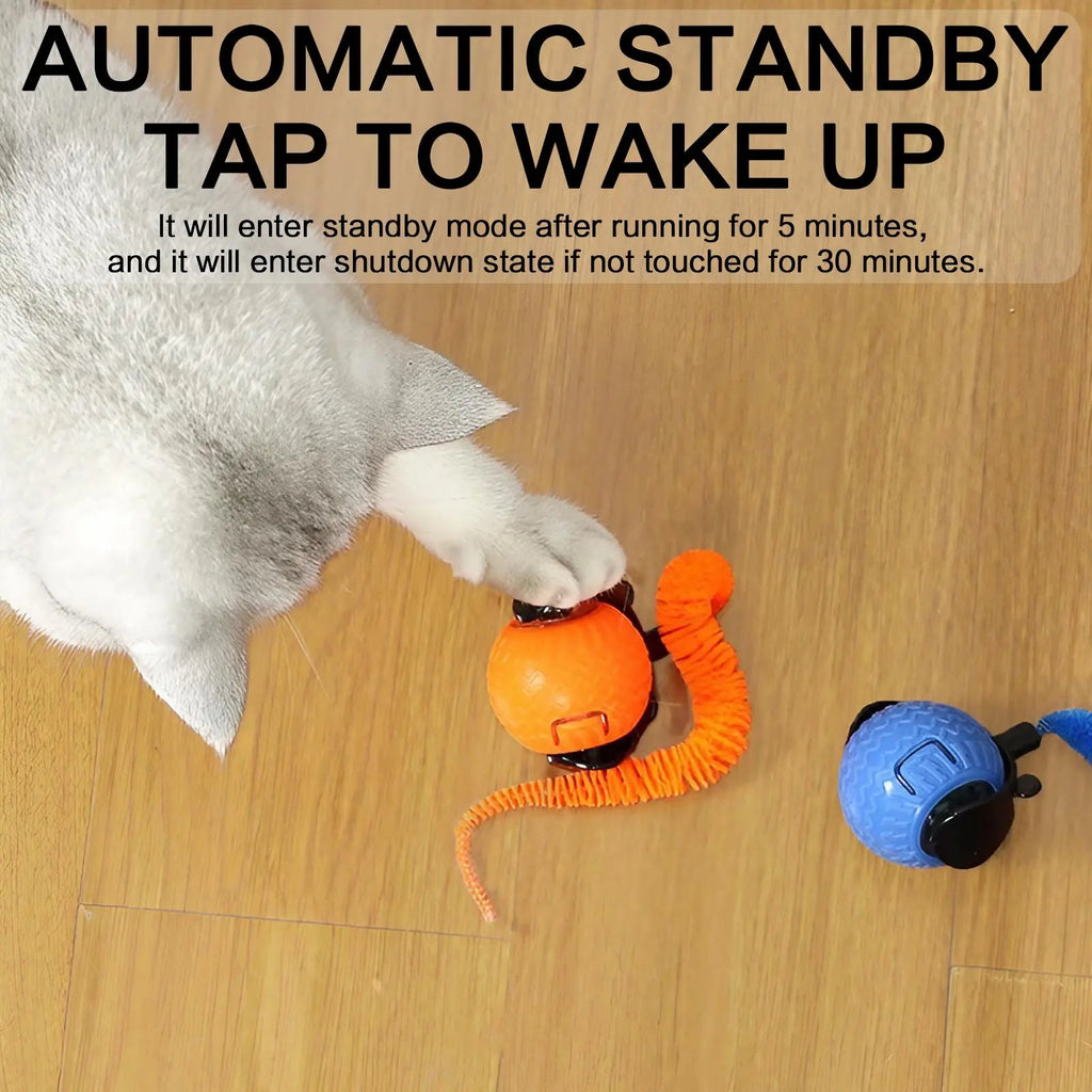 Interactive Cat Toy Ball, 1 Count/2 Counts Rechargeable Cat Teaser Toy, Durable Toy for Playing & Exercising, Fun Indoor Cat Accessories
