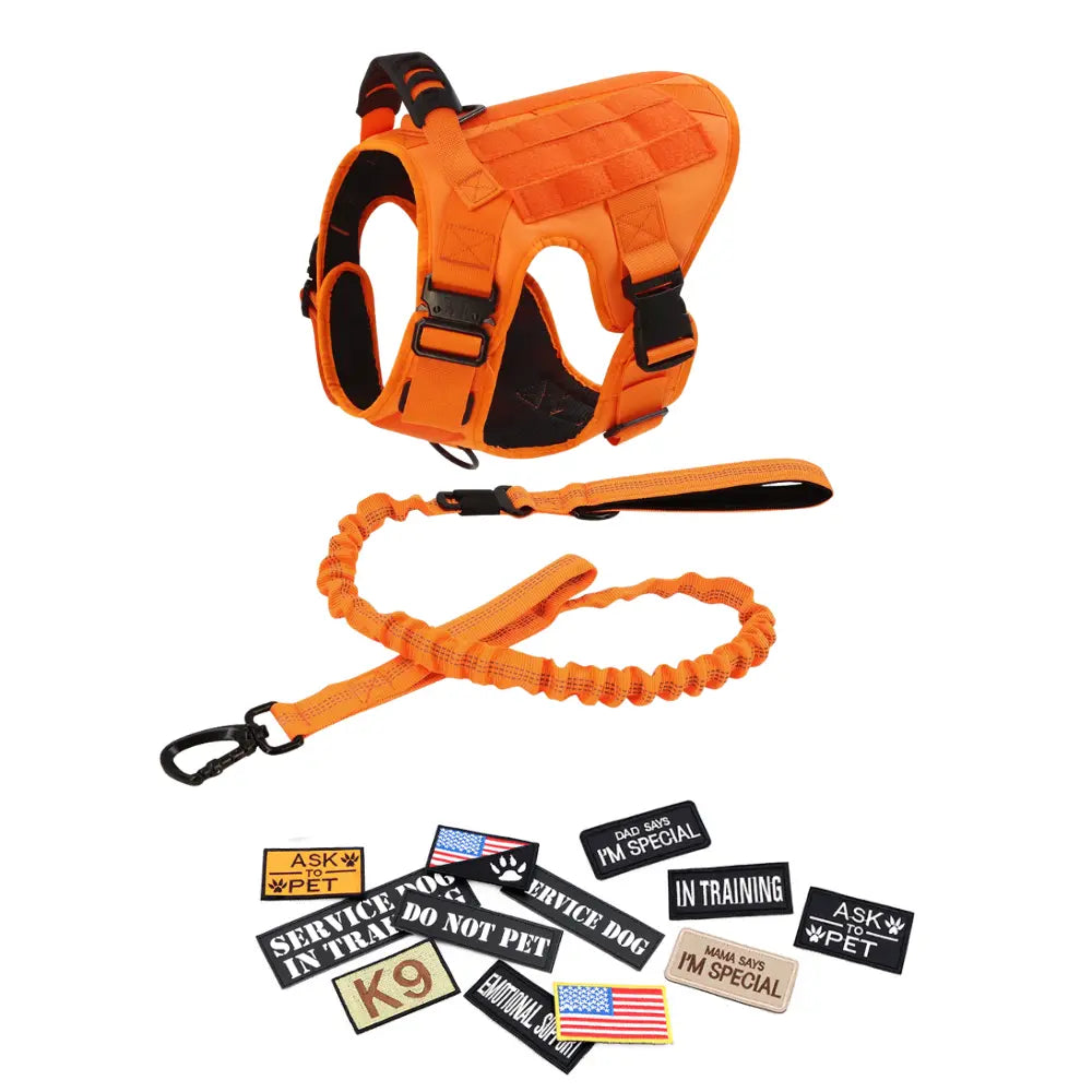 CWV No Pull Dog Harness and Leash Combo with 12 Patches,#Summerwins #Dealsforyoudays, Adjustable Safety Harness – Soft Padded, Easy on & off – Dog Walking & Training, for Medium Large Dogs #Outdoorfun Dog Accessories