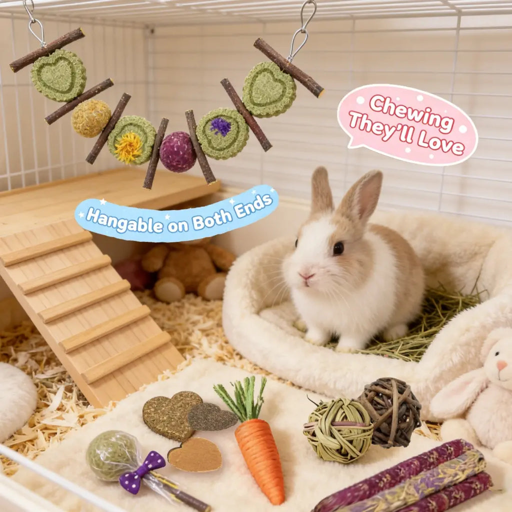 Rabbit Chew Toys Set, Natural Apple Sticks & Timothy Hay Treats, Molar Toys for Bunny, Guinea Pig, Small Pets, Cage Accessories for Teeth Grinding #Summervibes