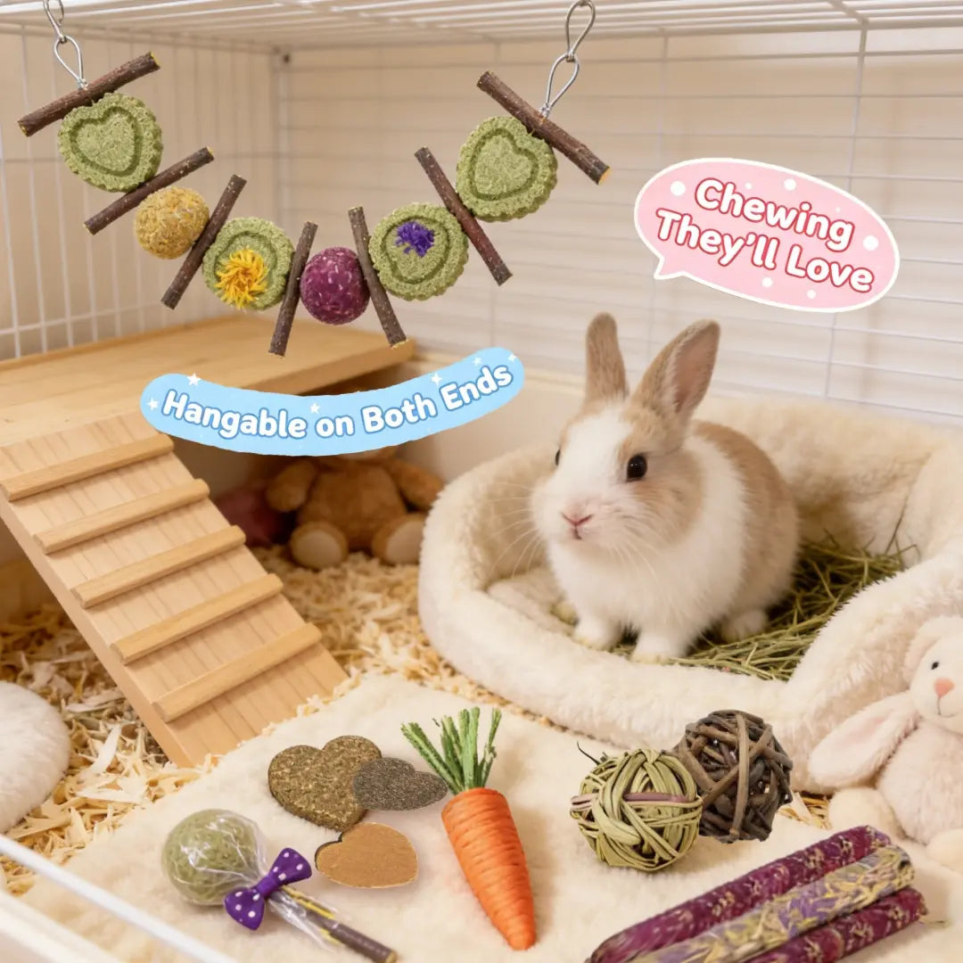 Rabbit Chew Toys Set, Natural Apple Sticks & Timothy Hay Treats, Molar Toys for Bunny, Guinea Pig, Small Pets, Cage Accessories for Teeth Grinding #Summervibes