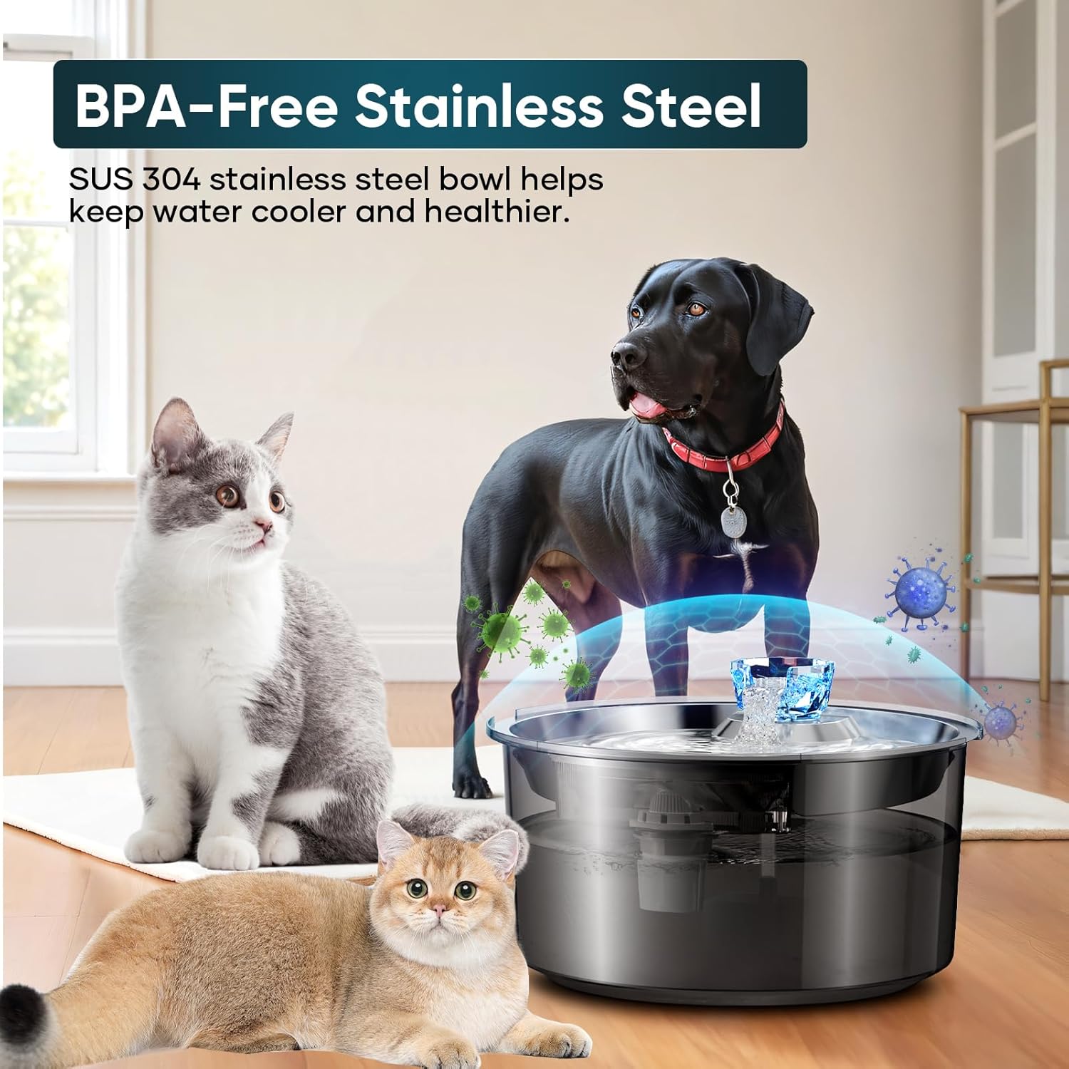 2.6 Gallon Automatic Dog & Cat Water Fountain – Filtered Pet Drinking Dispenser for Multiple Pets