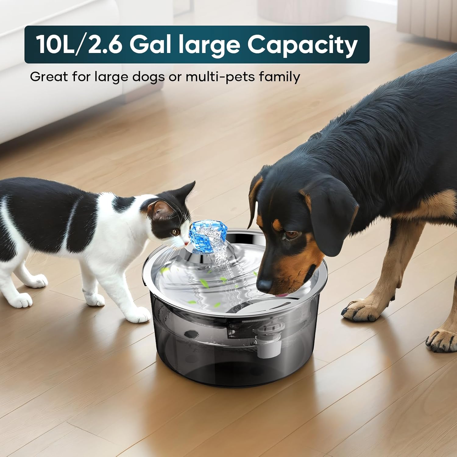 2.6 Gallon Automatic Dog & Cat Water Fountain – Filtered Pet Drinking Dispenser for Multiple Pets