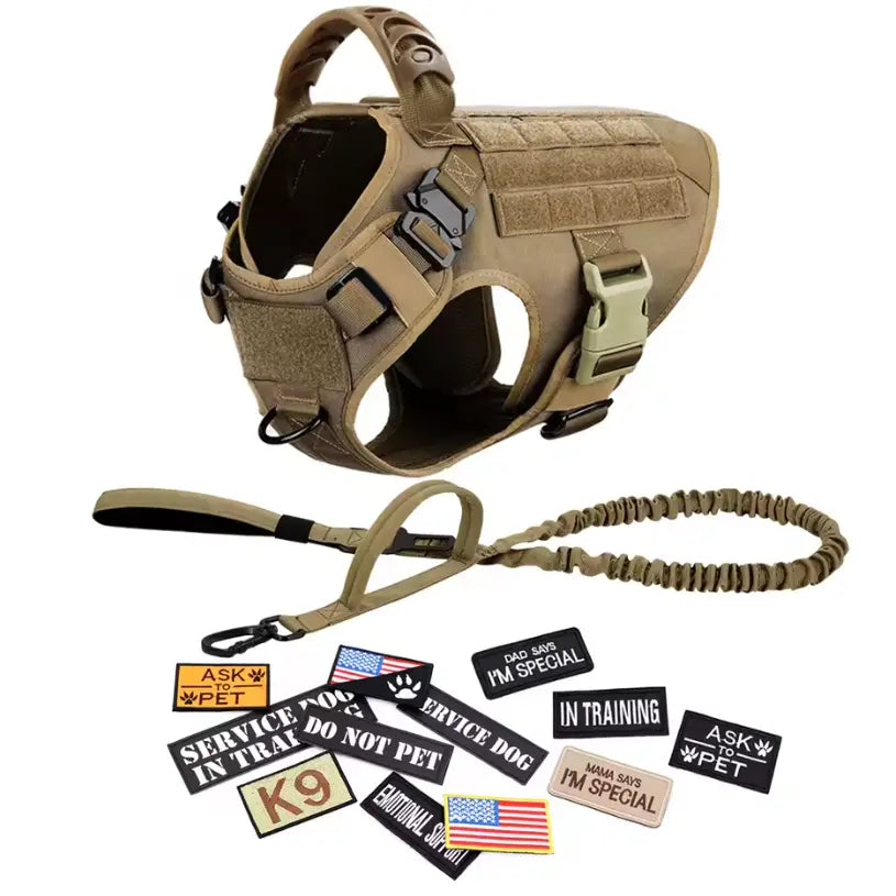 CWV No Pull Dog Harness and Leash Combo with 12 Patches,#Summerwins #Dealsforyoudays, Adjustable Safety Harness – Soft Padded, Easy on & off – Dog Walking & Training, for Medium Large Dogs #Outdoorfun Dog Accessories