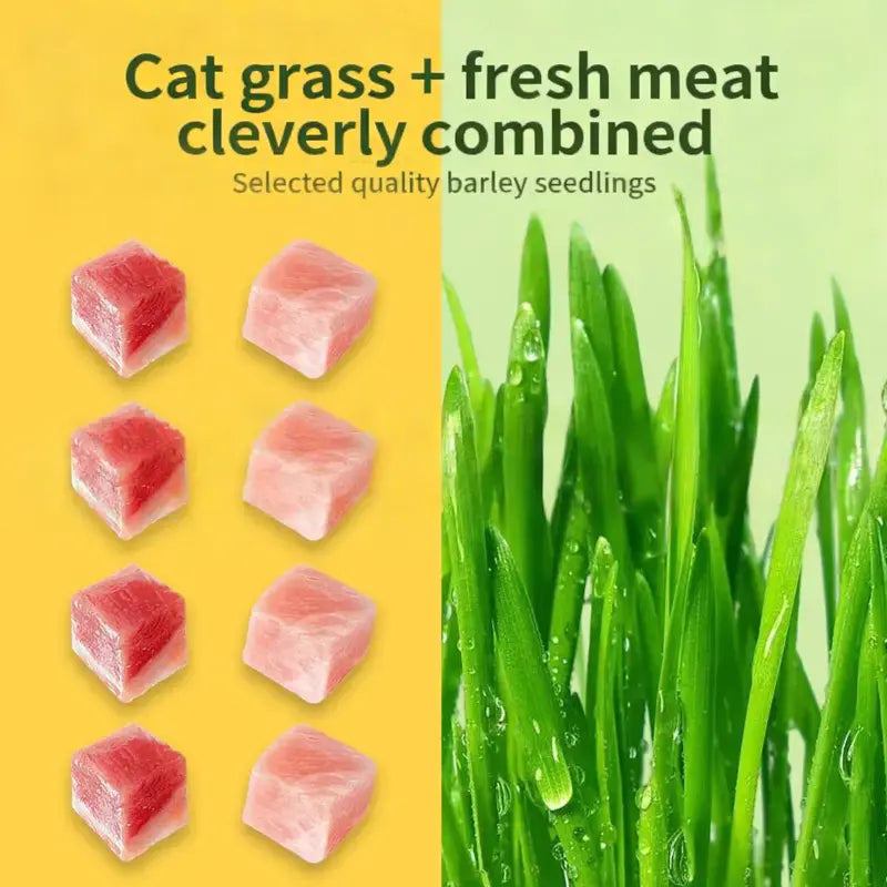 70G Cat Grass Treats with Natural Salmon, Hairball & Dental Care, Healthy Catnip Biscuits for Training & Daily Snacks