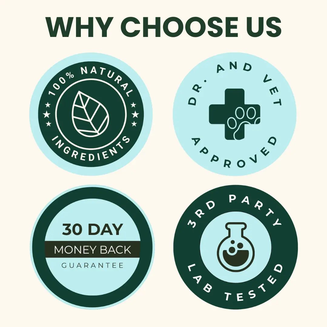 Multi-Vitamin Chews | Energy + Defense
