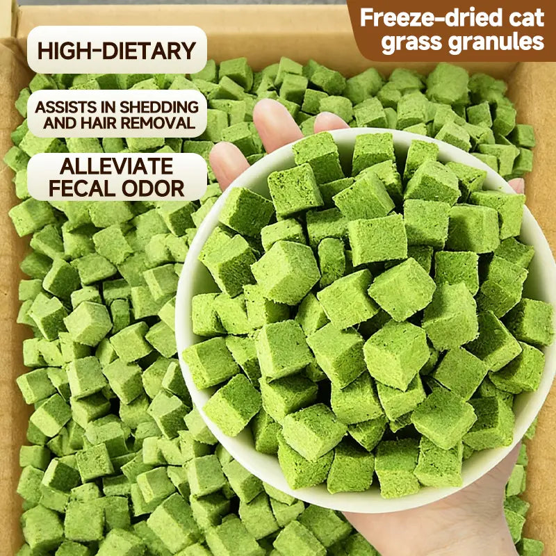 70G Cat Grass Treats with Natural Salmon, Hairball & Dental Care, Healthy Catnip Biscuits for Training & Daily Snacks