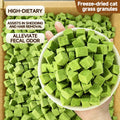 70G Cat Grass Treats with Natural Salmon, Hairball & Dental Care, Healthy Catnip Biscuits for Training & Daily Snacks