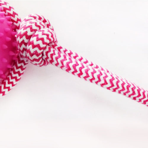 Rubber Chew Dog Toy – Durable Training Toy for Aggressive Chewers