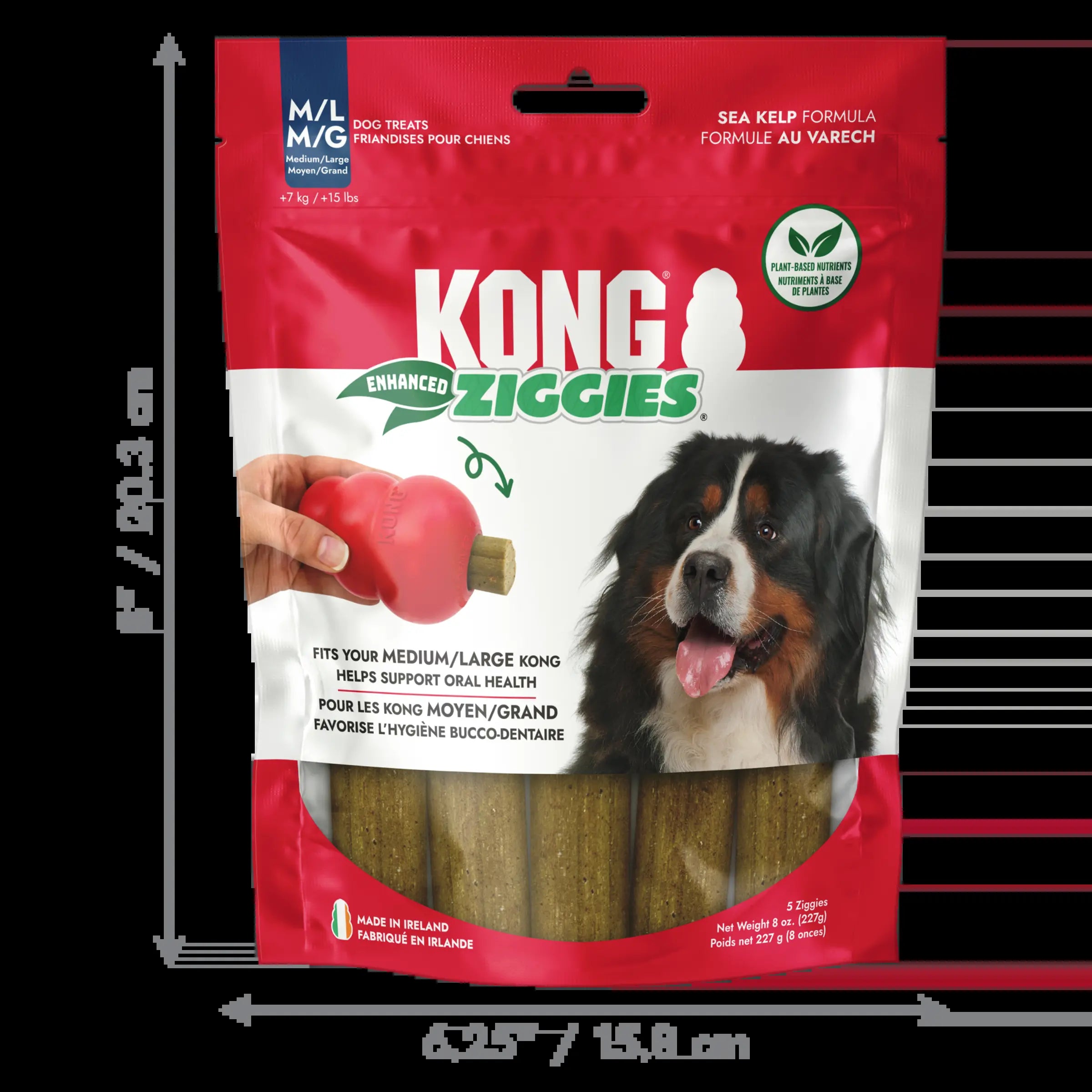 KONG Enhanced Ziggies Plant Based Dog Chew Treat, 5 Count, Large/Medium Dogs