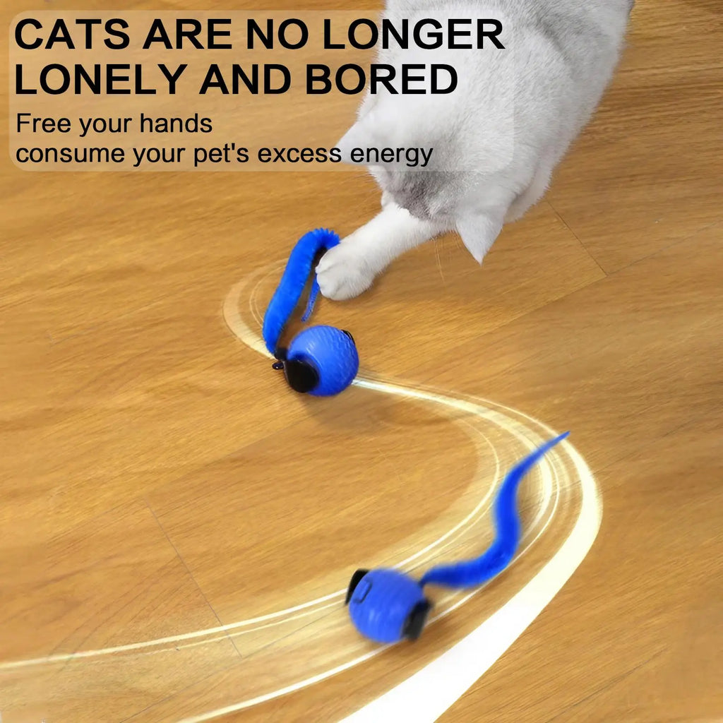 Interactive Cat Toy Ball, 1 Count/2 Counts Rechargeable Cat Teaser Toy, Durable Toy for Playing & Exercising, Fun Indoor Cat Accessories