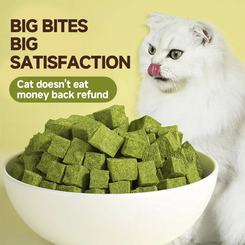 70G Cat Grass Treats with Natural Salmon, Hairball & Dental Care, Healthy Catnip Biscuits for Training & Daily Snacks