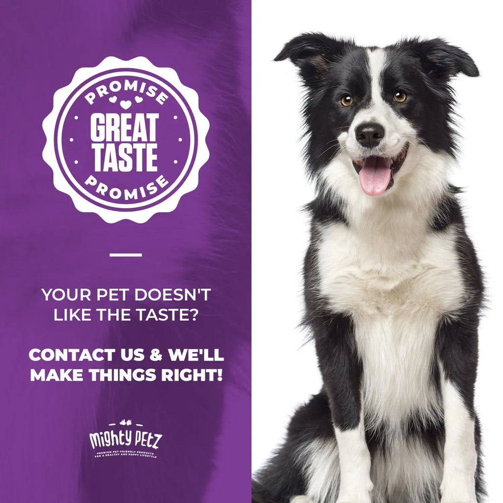 10-In-1 MAX Multivitamin for Dogs - Supports Overall Health