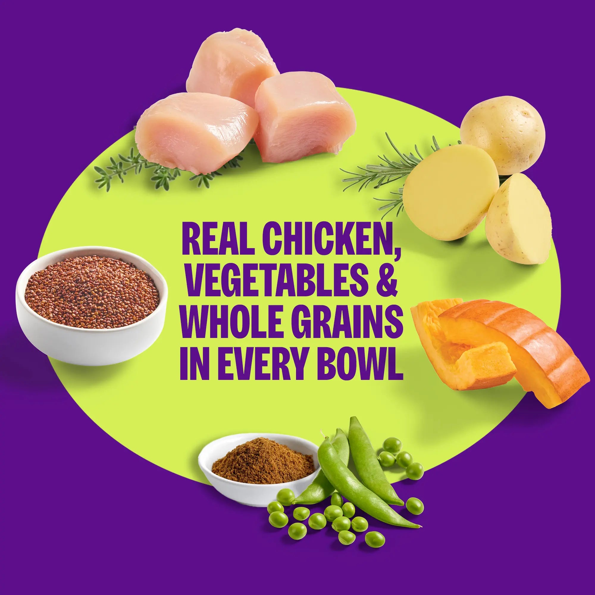 Wellness Protein Bowls, Adult Fresh Alternative Dog Food, Wholesome Grains, 6.2 Ounce Pouch, 6 Pack, (Chicken Value Pack)
