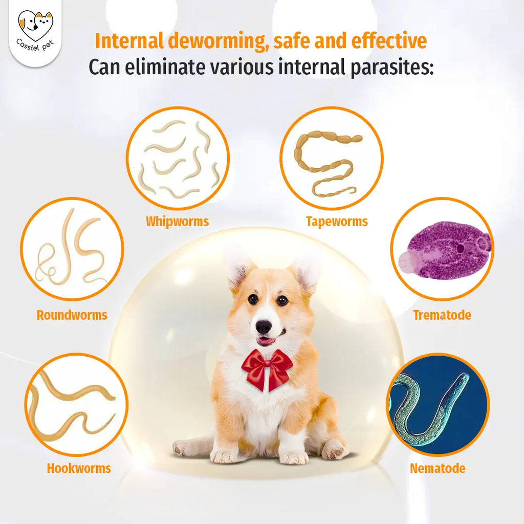 Cassiel Pet Natural Dog Chews - Herbal Formula, Chicken Flavor, Supports Digestive Comfort, Skin & Coat Care, Immune Support, Easy to Feed,