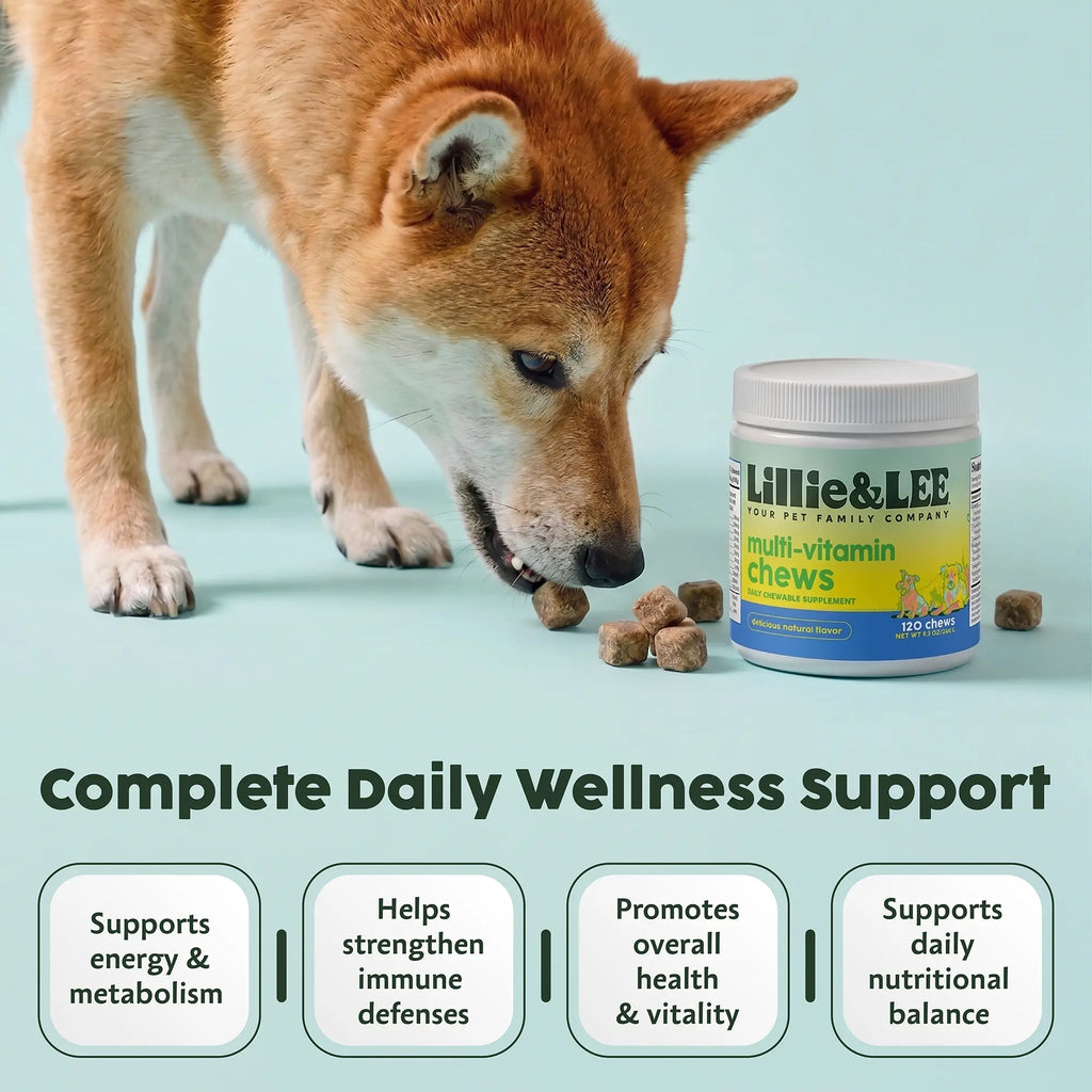 Multi-Vitamin Chews | Energy + Defense